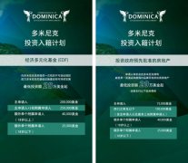 我们供给量身定制的指点取征询服 